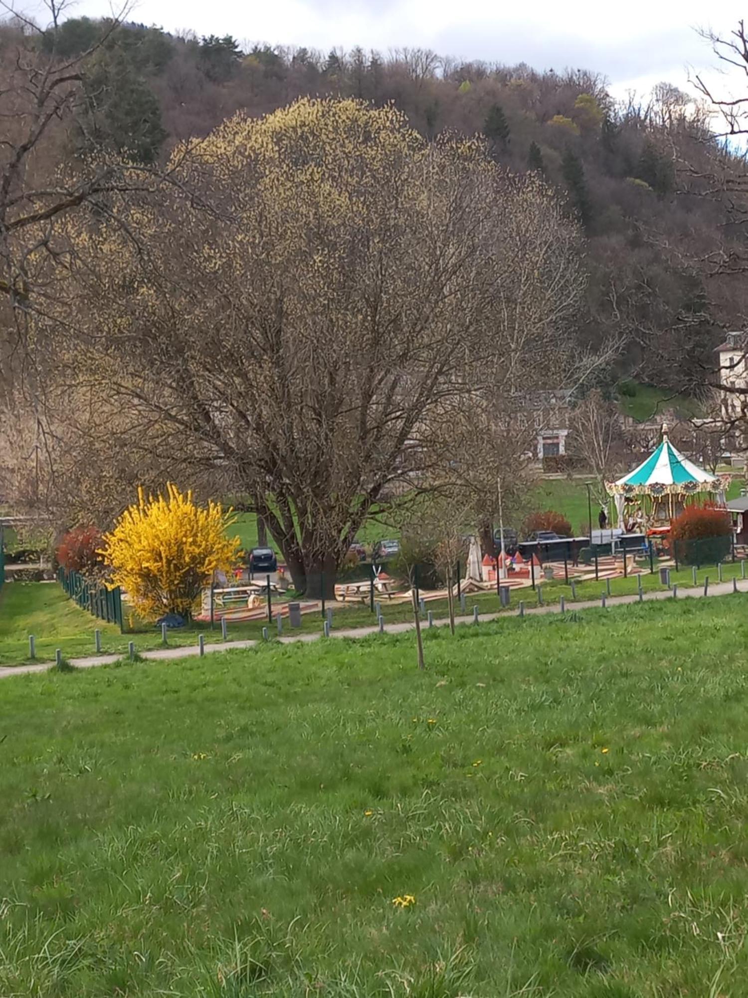 Residence Du Parc Saint-Martin-dʼUriage Εξωτερικό φωτογραφία